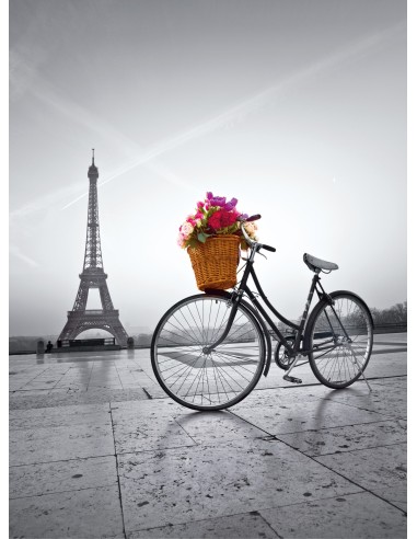 Clementoni Romantic promenade in Paris Puzzle 500 pz Città