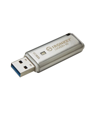 Kingston Technology IronKey 128GB IKLP50 AES USB, w 256bit Encryption