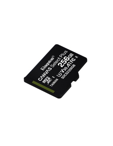 Kingston Technology Scheda micSDXC Canvas Select Plus 100R A1 C10 da 256GB confezione singola senza adattatore