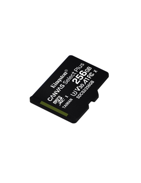 Kingston Technology Scheda micSDXC Canvas Select Plus 100R A1 C10 da 256GB confezione singola senza adattatore