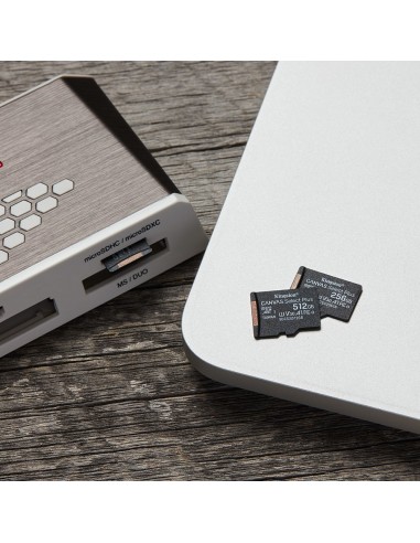 Kingston Technology Scheda micSDXC Canvas Select Plus 100R A1 C10 da 256GB confezione singola senza adattatore