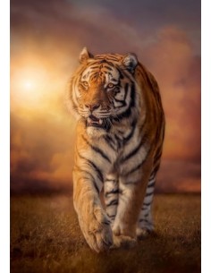 Clementoni 31806 puzzle Puzzle di contorno 1500 pz Animali 2