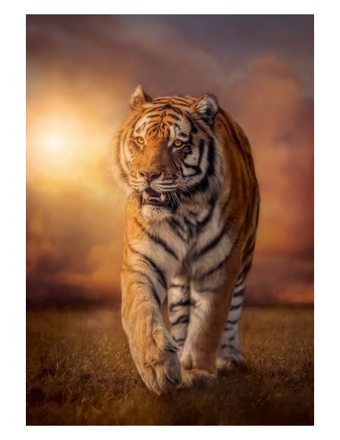 Clementoni 31806 puzzle Puzzle di contorno 1500 pz Animali