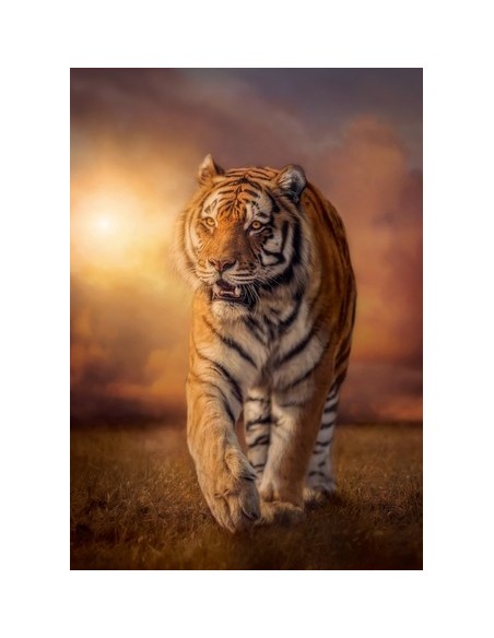 Clementoni 31806 puzzle Puzzle di contorno 1500 pz Animali