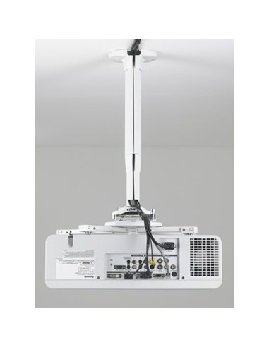 Chief KITEP080135W supporto per proiettore Soffitto Bianco