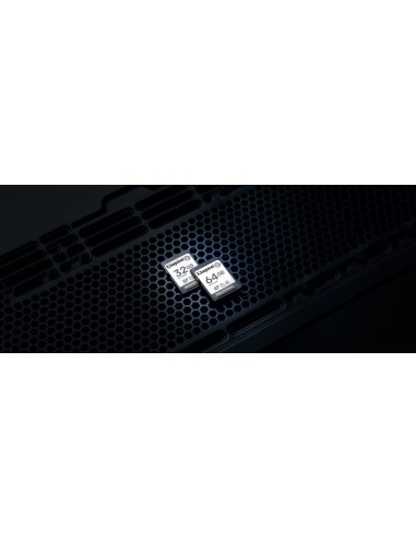 Kingston Technology 32G SDHC Industrial pSLC