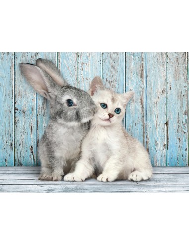 Clementoni Cat & Bunny Puzzle 500 pz Animali