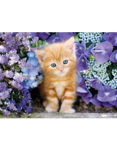 Clementoni Ginger cat Puzzle 500 pz Animali 2