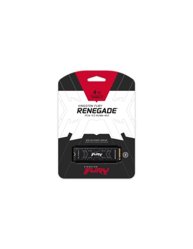 Kingston Technology 4000G FURY RENEGADE M.2 2280 NVMe SSD