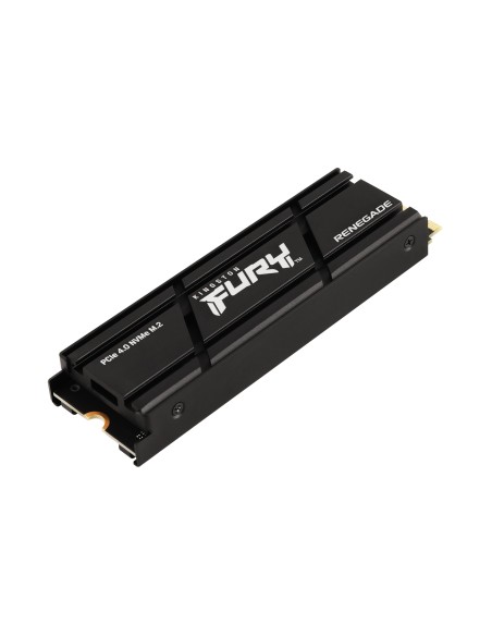 Kingston Technology 500G RENEGADE PCIe 4.0 NVMe SSD W  Dissipatore di calore