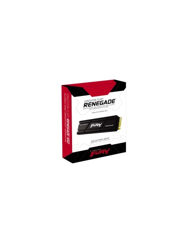Kingston Technology 500G RENEGADE PCIe 4.0 NVMe SSD W  Dissipatore di calore