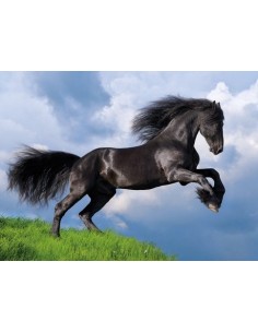 Clementoni 35071 puzzle 500 pz Animali 2