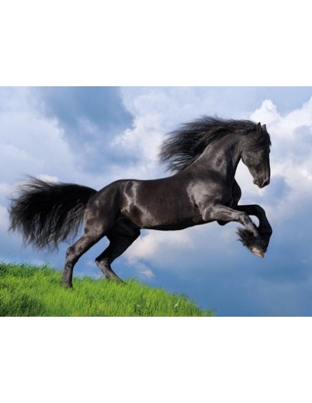 Clementoni 35071 puzzle 500 pz Animali