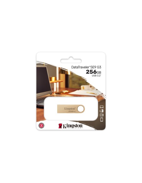 Kingston Technology DataTraveler 256GB 220MB s Drive USB 3.2 Gen 1 in Metallo SE9 G3