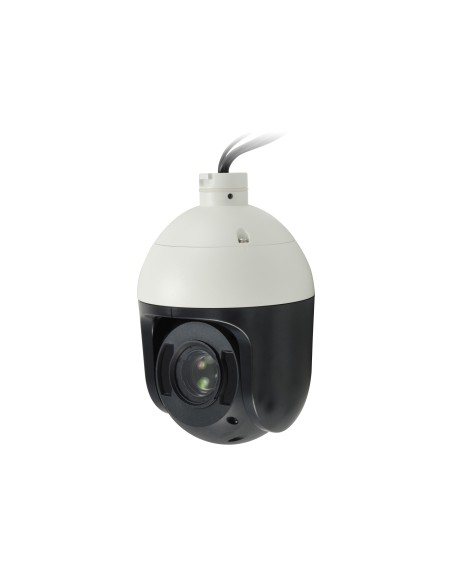 LevelOne FCS-4048 telecamera di sorveglianza Cupola Telecamera di sicurezza IP Interno e esterno 1920 x 1080 Pixel Soffitto