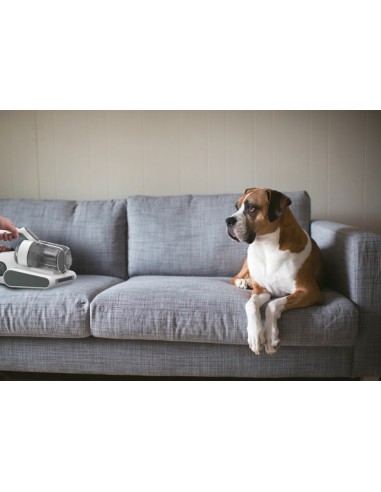 Hoover HMC510UV 011 aspirapolvere senza filo Salvia, Bianco Senza sacchetto