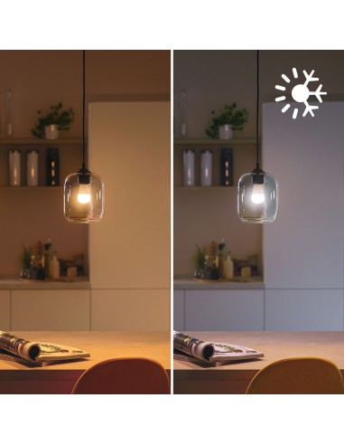 Philips LED Lampadina Smart Dimmerabile Luce Bianca o Colorata Attacco E14 40WSfera