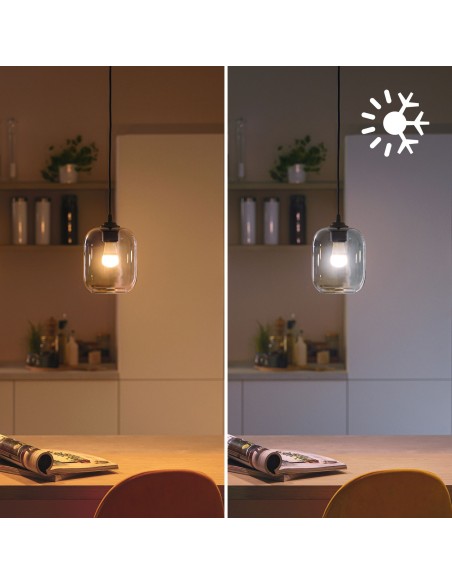Philips LED Lampadina Smart Dimmerabile Luce Bianca o Colorata Attacco E14 40WSfera