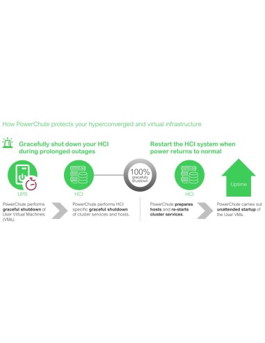 APC SWPCNS5Y-DIGI licenza per software aggiornamento Inglese 5 anno i