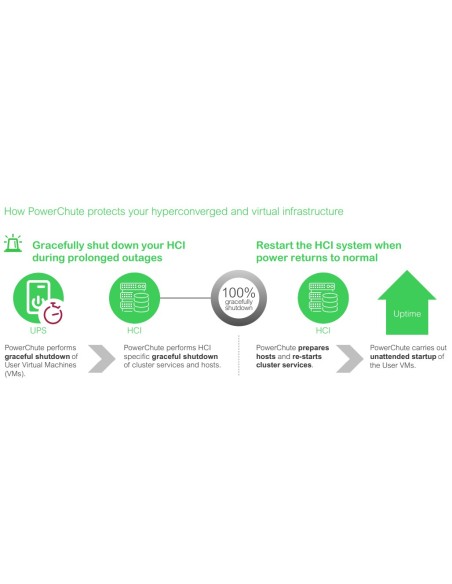 APC SWPCNS5Y-DIGI licenza per software aggiornamento Inglese 5 anno i