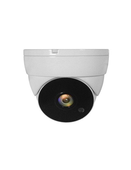 LevelOne ACS-5302 telecamera di sorveglianza Cupola Telecamera di sicurezza CCTV Interno e esterno Soffitto