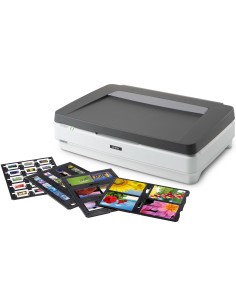 Epson Expression 13000XL Pro Scanner piano 2400 x 4800 DPI A3 Grigio, Bianco