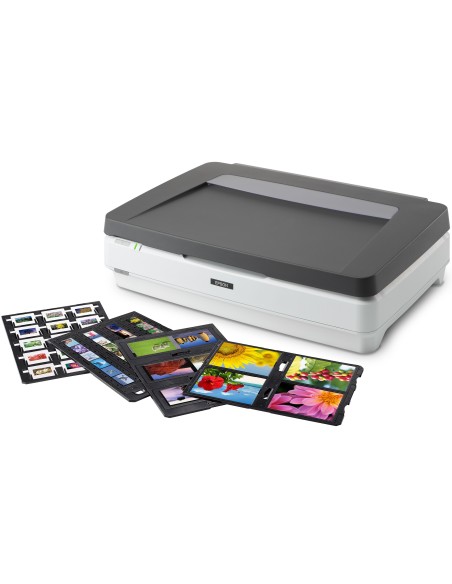 Epson Expression 13000XL Pro Scanner piano 2400 x 4800 DPI A3 Grigio, Bianco