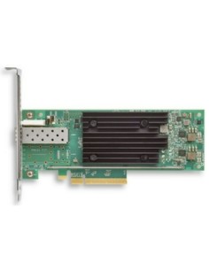 DELL 540-BDKO scheda di rete e adattatore Interno 32000 Mbit s