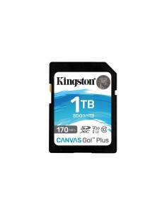Kingston Technology Scheda SDXC Canvas Go Plus 170R C10 UHS-I U3 V30 da 1TB