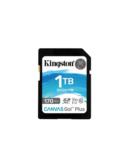 Kingston Technology Scheda SDXC Canvas Go Plus 170R C10 UHS-I U3 V30 da 1TB