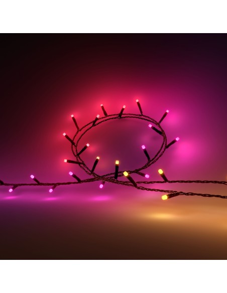 Philips Hue White and Color ambiance Stringa di luci Festavia