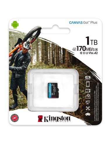 Kingston Technology Scheda microSDXC Canvas Go Plus 170R A2 U3 V30 da 1TB confezione singola senza adattatore