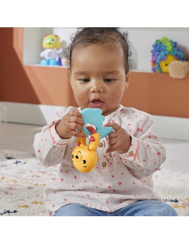 Fisher-Price HJW11 sonaglio