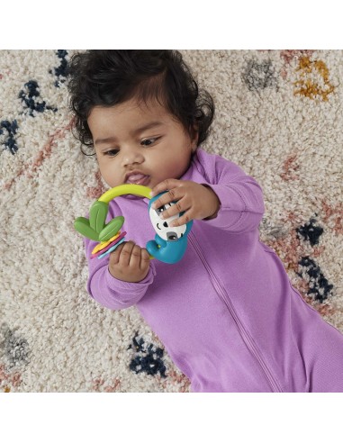 Fisher-Price HJW11 sonaglio