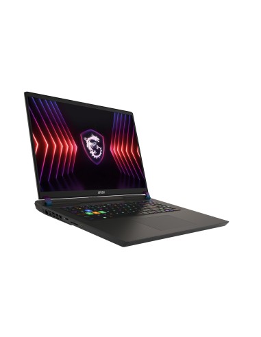MSI Vector 17 HX A14VGG-250IT Intel® Core™ i9 i9-14900HX Computer portatile 43,2 cm (17") Quad HD+ 32 GB DDR5-SDRAM 1 TB SSD