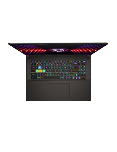 MSI Vector 17 HX A14VGG-250IT Intel® Core™ i9 i9-14900HX Computer portatile 43,2 cm (17") Quad HD+ 32 GB DDR5-SDRAM 1 TB SSD