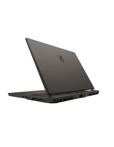 MSI Vector 17 HX A14VGG-250IT Intel® Core™ i9 i9-14900HX Computer portatile 43,2 cm (17") Quad HD+ 32 GB DDR5-SDRAM 1 TB SSD