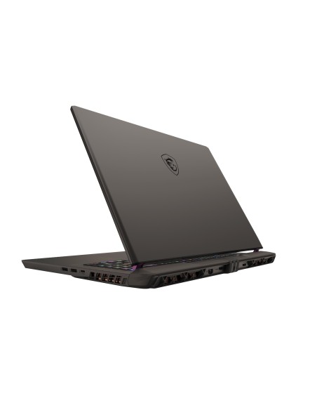 MSI Vector 17 HX A14VGG-250IT Intel® Core™ i9 i9-14900HX Computer portatile 43,2 cm (17") Quad HD+ 32 GB DDR5-SDRAM 1 TB SSD