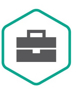 Kaspersky Professional Services Licenza 1 anno i 12 mese(i)
