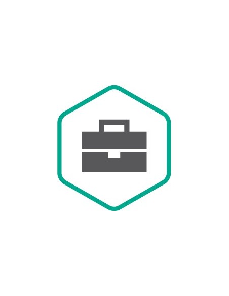 Kaspersky Professional Services Licenza 1 anno i 12 mese(i)