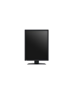 EIZO RadiForce MX217-SB Monitor PC 53,3 cm (21") 1200 x 1600 Pixel UXGA LCD Nero 2