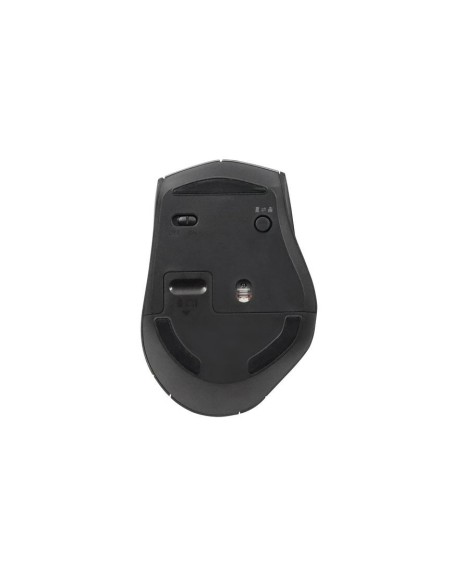 Equip 245115 mouse Ufficio Mano destra RF Wireless Ottico 2400 DPI