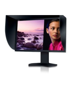 NEC SpectraView Reference 302 LED display 76,2 cm (30") 2560 x 1600 Pixel Nero