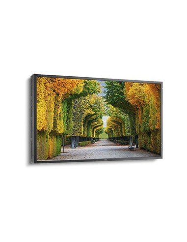 NEC MultiSync X554HB Pannello piatto per segnaletica digitale 139,7 cm (55") LED 2700 cd m² Full HD Nero 24 7