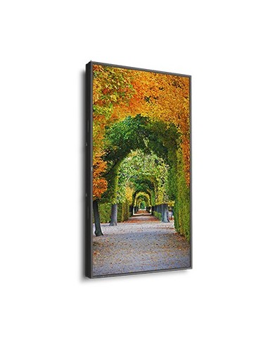 NEC MultiSync X554HB Pannello piatto per segnaletica digitale 139,7 cm (55") LED 2700 cd m² Full HD Nero 24 7