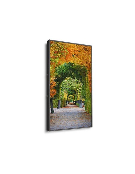 NEC MultiSync X554HB Pannello piatto per segnaletica digitale 139,7 cm (55") LED 2700 cd m² Full HD Nero 24 7