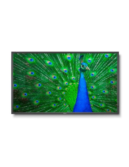 NEC MultiSync C651Q Pannello piatto per segnaletica digitale 165,1 cm (65") LED 350 cd m² 4K Ultra HD Nero 24 7