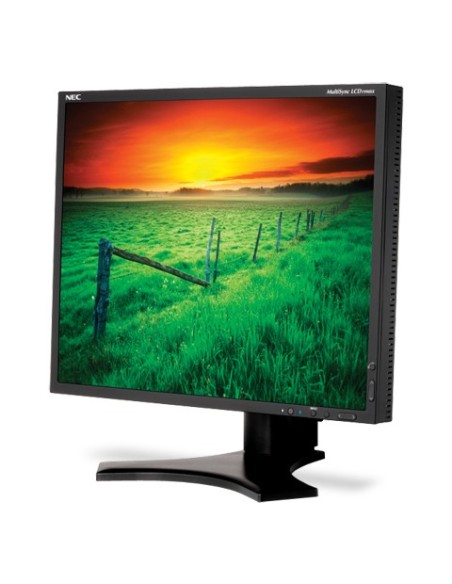 NEC MultiSync LCD1990SX Monitor PC 48,3 cm (19") 1280 x 1024 Pixel Nero