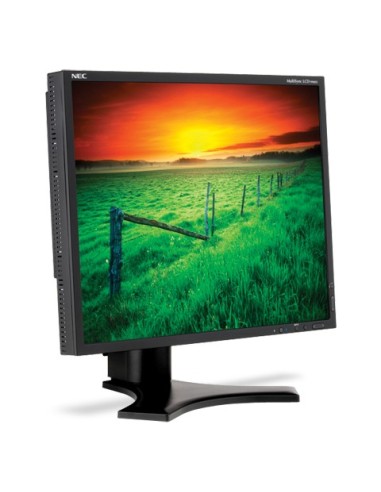 NEC MultiSync LCD1990SX Monitor PC 48,3 cm (19") 1280 x 1024 Pixel Nero