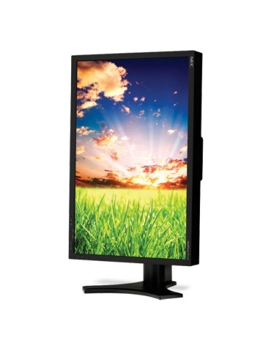 NEC MultiSync P221W Monitor PC 55,9 cm (22") 1680 x 1050 Pixel LCD Nero